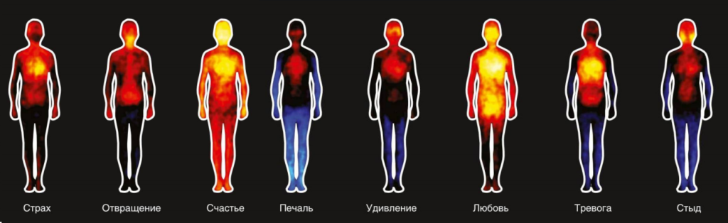 Карта эмоций в теле человека